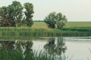 Lake landscape.Ukraine