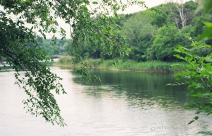 River view.Ukraine.